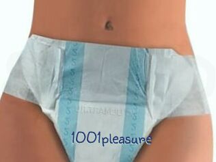 1001pleasure