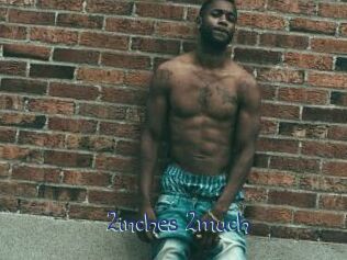 2inches_2much