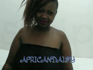 AFRICANDAISY