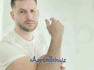 AaronSchulz
