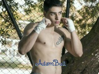 AdamBull