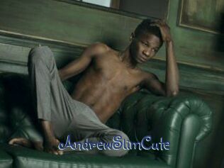 AndrewSlimCute