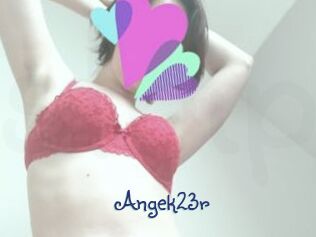 Angek23r