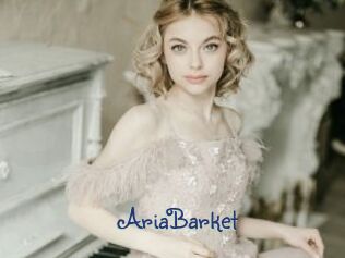 AriaBarket