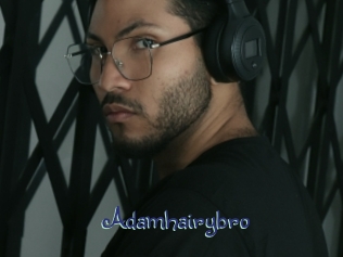 Adamhairybro
