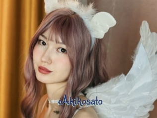 akikosato Stripx