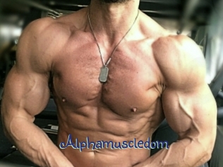 alphamuscledom Stripx
