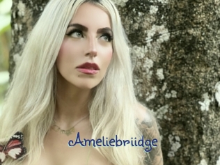 Ameliebriidge
