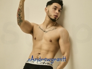 andrewgrantt Stripx