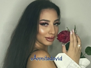 Annitadavid