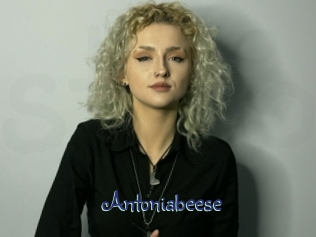 Antoniabeese