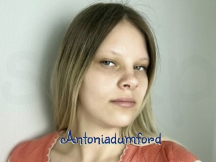 Antoniadumford