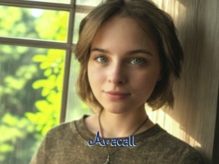 aracall Stripx