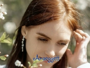 Araeggett