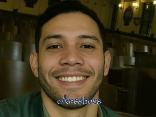 aresboss Stripx