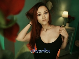 Avaafox