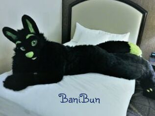 BaniBun