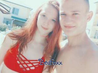 BedFoxx