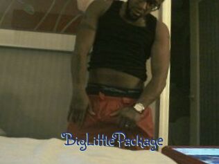 BigLittlePackage