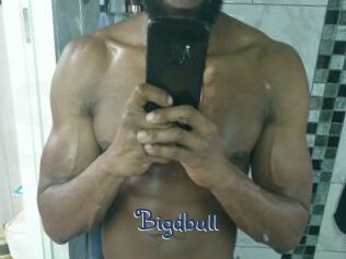Bigdbull