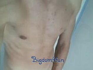 Bigdom4fun