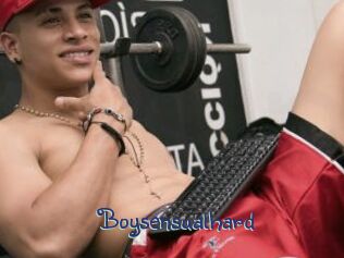 Boysensualhard
