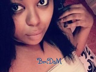 BriDsM