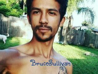 Bruce_Sullivan