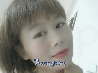 Bunnyhere