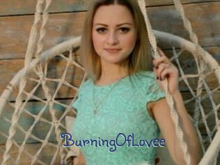 BurningOfLovee