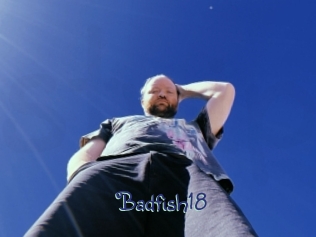 badfish18 Stripx