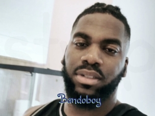 bandoboy Stripx