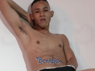 bentofox Stripx