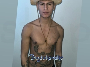 bigdicksnake Stripx