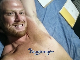 bigginnger Stripx