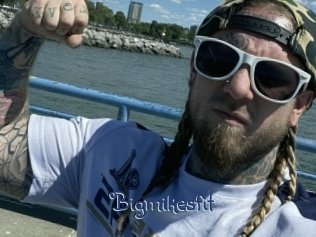 bigmikesfit Stripx