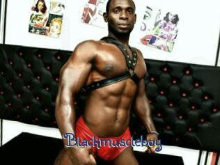 Blackmuscleboy