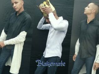 Blakemate
