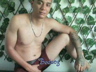 Bodsey
