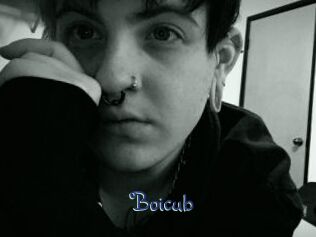Boicub