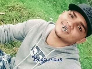 boycurious Stripx