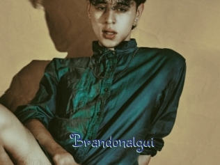 brandonalgui Stripx