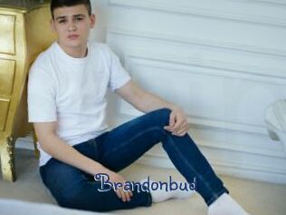Brandonbud