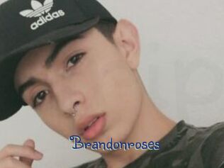 brandonroses Stripx