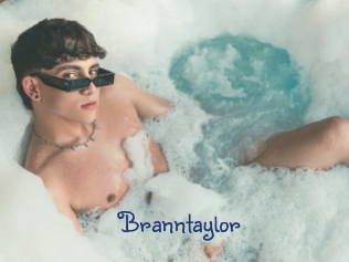 branntaylor Stripx