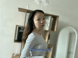 Breecoote