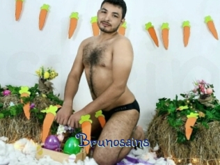 brunosains Stripx