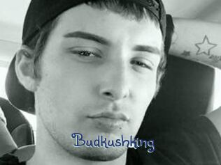 Budkushking