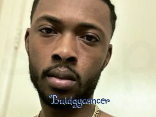 Buldgycancer