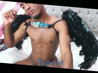 Bulls_hot